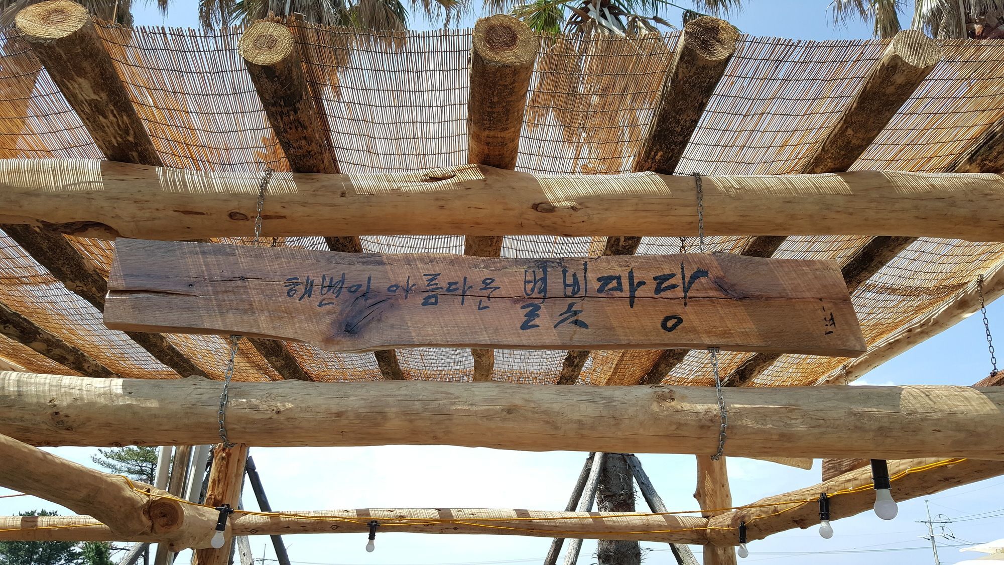 베니키아